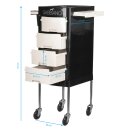 Gabbiano hairdressing trolley ft65-1 black/white