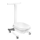 Height-adjustable foot bath for pedicure comfort with...