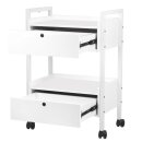 Cosmetica trolley type 1019