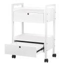 Cosmetica trolley type 1019