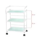 Cosmetic trolley type 1013 giovanni