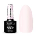 CLARESA Hybride Lak #lipglossnagels 01/5g