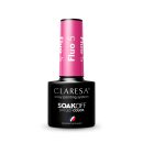 CLARESA hybrid paint FLUO 5 -5g