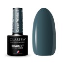 CLARESA hybrid paint GREEN WINKS 3 -5g