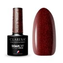 CLARESA hybrid paint make it shine! 4 -5g