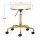 COSMETIC STOOL H4 GOLD WHITE