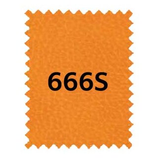 666S